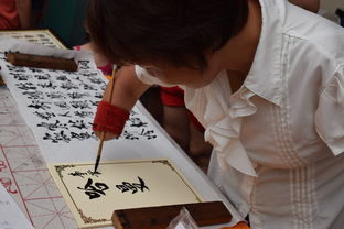 开云在线登入-全国青少年趣味障碍挑战赛创造佳话，少儿障碍挑战赛