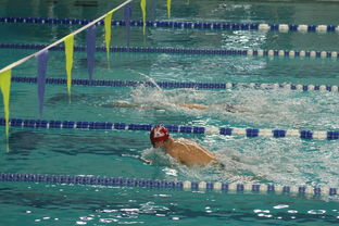 开云体育官网-全国大学生花样游泳大赛优秀节目连连，2020年全国花样游泳比赛